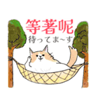 台湾中国語(繁体字)★毎日使える猫スタンプ（個別スタンプ：33）