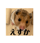 ハムスターあ行（個別スタンプ：10）