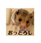 ハムスターあ行（個別スタンプ：13）