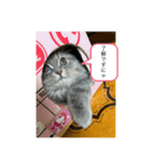M A L Uのまったりライフ3（個別スタンプ：6）