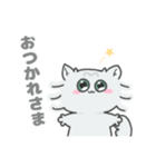 ペルシャねこのモフミさん（個別スタンプ：8）