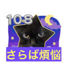 黒猫 ルナ院長108にゃんめ（個別スタンプ：1）