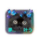 黒猫 ルナ院長108にゃんめ（個別スタンプ：6）