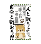 【Big】柴犬.ちゃちゃ丸57『俳句風と一言』（個別スタンプ：35）