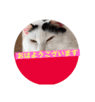 可愛い雨汐スタンプ2023（個別スタンプ：1）