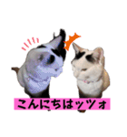 可愛い雨汐スタンプ2023（個別スタンプ：2）