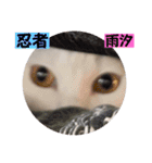 可愛い雨汐スタンプ2023（個別スタンプ：19）