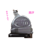 可愛い雨汐スタンプ2023（個別スタンプ：34）