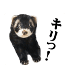 ムクマポ2（個別スタンプ：24）