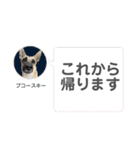 毎日ブコースキー（個別スタンプ：39）
