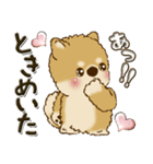 柴犬・ちゃちゃ丸 45『オタクちゃん』（個別スタンプ：3）