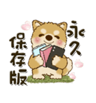 柴犬・ちゃちゃ丸 45『オタクちゃん』（個別スタンプ：16）