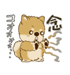 柴犬・ちゃちゃ丸 45『オタクちゃん』（個別スタンプ：29）