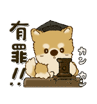 柴犬・ちゃちゃ丸 45『オタクちゃん』（個別スタンプ：31）