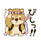 柴犬・ちゃちゃ丸 45『オタクちゃん』（個別スタンプ：37）