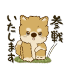 柴犬・ちゃちゃ丸 45『オタクちゃん』（個別スタンプ：38）