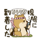 柴犬・ちゃちゃ丸 45『オタクちゃん』（個別スタンプ：40）