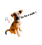 It's Bruno ♪（個別スタンプ：6）