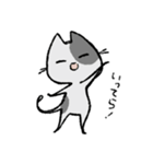 毎日ねこちゃんたち2（個別スタンプ：1）