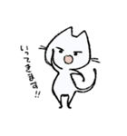 毎日ねこちゃんたち2（個別スタンプ：3）