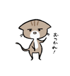 毎日ねこちゃんたち2（個別スタンプ：5）