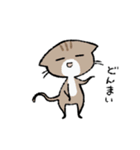 毎日ねこちゃんたち2（個別スタンプ：6）