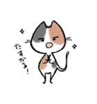毎日ねこちゃんたち2（個別スタンプ：8）