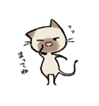 毎日ねこちゃんたち2（個別スタンプ：35）