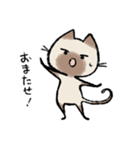 毎日ねこちゃんたち2（個別スタンプ：36）