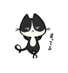 毎日ねこちゃんたち2（個別スタンプ：37）
