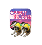 愛犬の被り物と夜空（個別スタンプ：4）