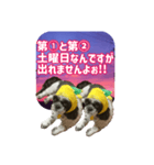 愛犬の被り物と夜空（個別スタンプ：21）