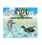 ヤンバルクイナ大好き 沖縄行きたい（個別スタンプ：33）