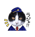 ハチワレ猫のメイちゃん②（個別スタンプ：2）