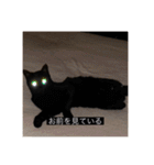 四足の毛玉（個別スタンプ：10）
