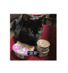 四足の毛玉（個別スタンプ：15）