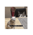 四足の毛玉（個別スタンプ：30）