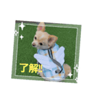 LUNA＆SEA～夏休み特集（個別スタンプ：11）