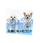 LUNA＆SEA～夏休み特集（個別スタンプ：13）