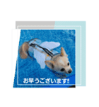 LUNA＆SEA～夏休み特集（個別スタンプ：14）