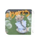 LUNA＆SEA～夏休み特集（個別スタンプ：15）