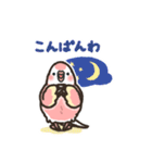 アキクサインコLINEスタンプ4（個別スタンプ：4）