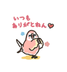 アキクサインコLINEスタンプ4（個別スタンプ：5）