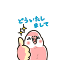 アキクサインコLINEスタンプ4（個別スタンプ：6）