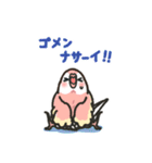 アキクサインコLINEスタンプ4（個別スタンプ：7）