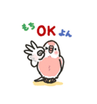 アキクサインコLINEスタンプ4（個別スタンプ：8）