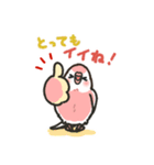 アキクサインコLINEスタンプ4（個別スタンプ：9）