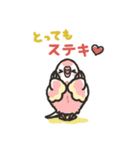 アキクサインコLINEスタンプ4（個別スタンプ：10）