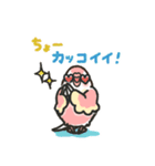 アキクサインコLINEスタンプ4（個別スタンプ：12）