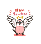 アキクサインコLINEスタンプ4（個別スタンプ：13）